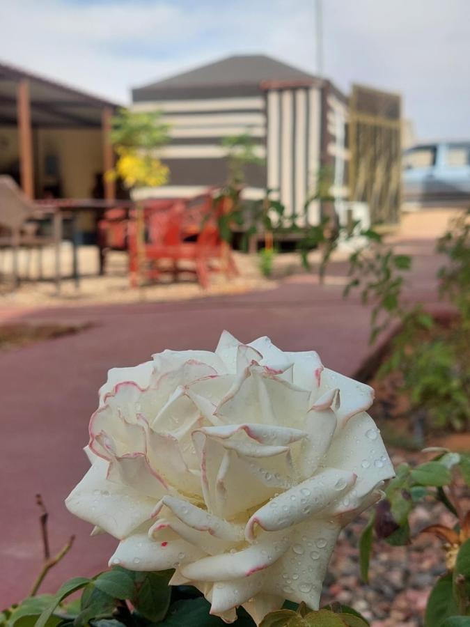 Wadi Rum Oryx Hostel & Tours Exteriör bild