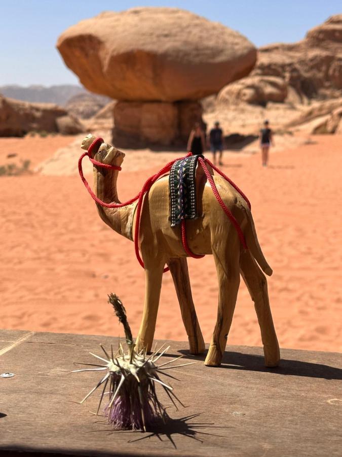 Wadi Rum Oryx Hostel & Tours Exteriör bild